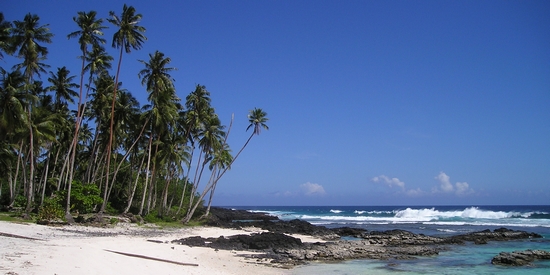 Písečná pláž, moře a palmy s CK Eso Travel